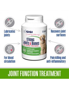 Papildbarība suņiem GiGi - Strong Joints & Bones, kauliem... 2