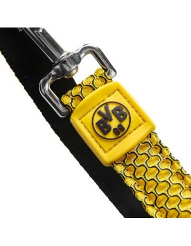 Dog Leash, HUNTER, Hilo BVB, 25/200, yellow