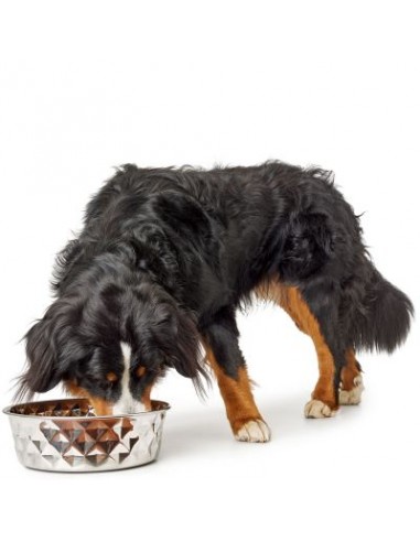 Stainless steel bowl, HUNTER, Namy, 550 ml, metal.