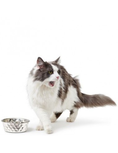 Stainless steel bowl, HUNTER, Namy, 550 ml, metal.