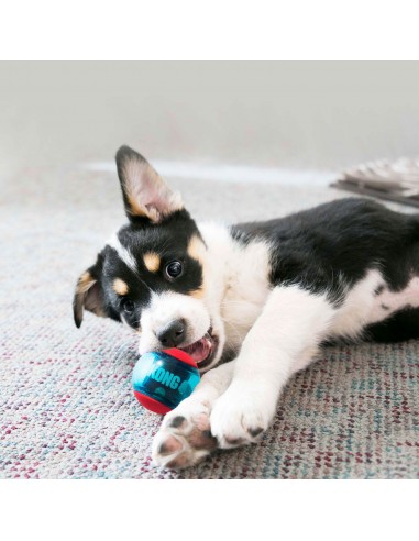 Dog toy, KONG®, Squeezz® Action, 8 cm, (2...
