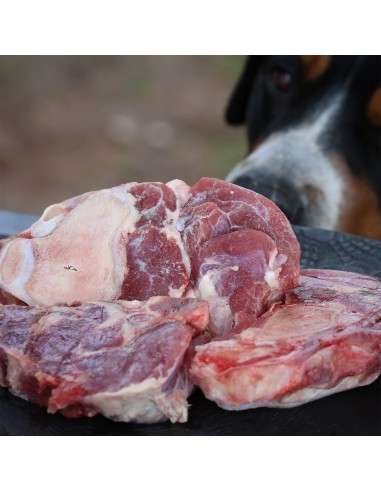 BIAMEAT - fresh food ingredient, YOUNG CATTLE...