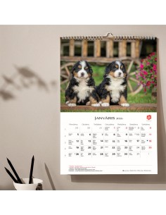 2026 calendar, KIRIGAMI PRINT, puppies, A3