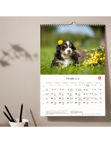 2026 calendar, KIRIGAMI PRINT, puppies, A3