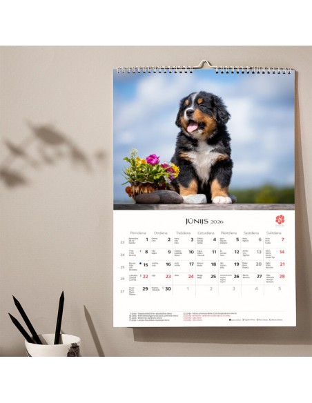 2026 calendar, KIRIGAMI PRINT, puppies, A3