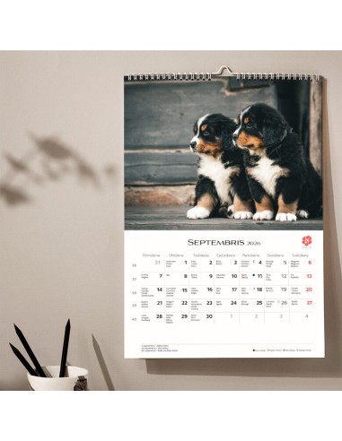 2026 calendar, KIRIGAMI PRINT, puppies, A3