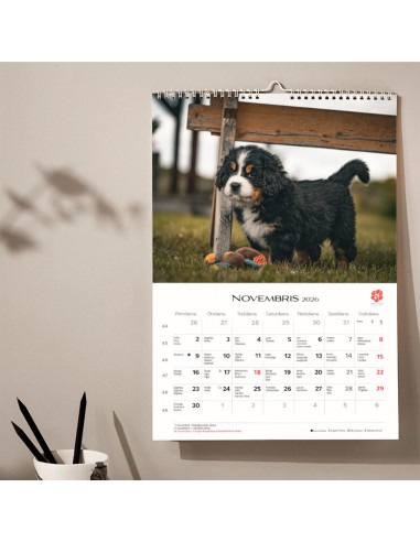 2026 calendar, KIRIGAMI PRINT, puppies, A3