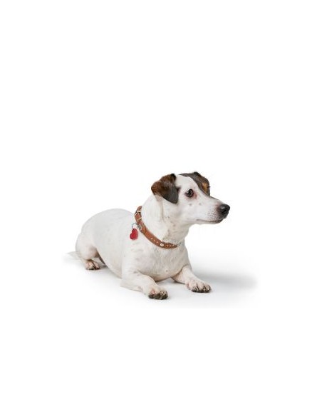 Dog collar, HUNTER AALBORG Hearts, Cognac