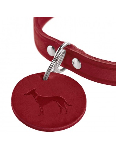 Dog collar, HUNTER AALBORG, red