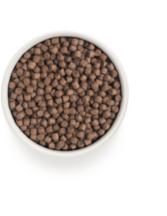 Dry food for small dogs GRANDORF - Adult Mini Turkey, 1 kg. 2
