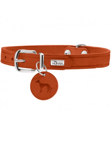 Dog collar, HUNTER AALBORG, orange