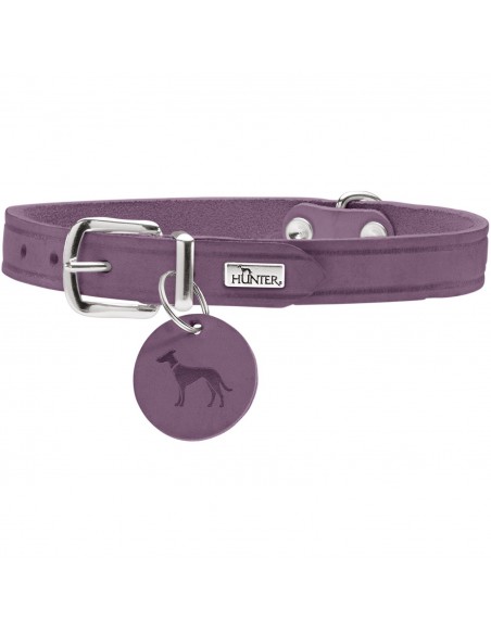 Dog collar, HUNTER AALBORG, purple