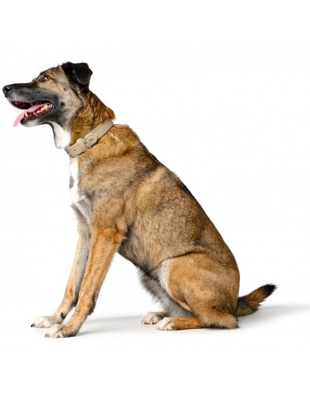 Dog collar, HUNTER Amalfi, tan