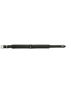 Dog collar, HUNTER Basic, black 2