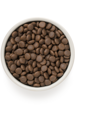 Dry dog ​​food GRANDORF - Adult 4 Meat, for...