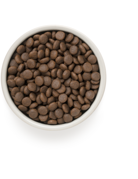 Dry dog ​​food GRANDORF - Adult 4 Meat, for medium and large breed dogs, turkey, lamb, duck, rabbit, 1 kg.