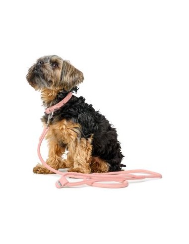 Dog collar, HUNTER Soho Mini, light pink