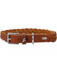 Dog collar, HUNTER,Solid Education Special, cognac