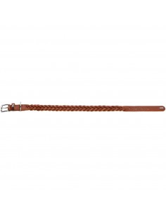 Dog collar, HUNTER,Solid Education Special, cognac 2