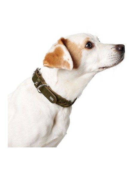 Dog collar, HUNTER,Solid Education Special, olive