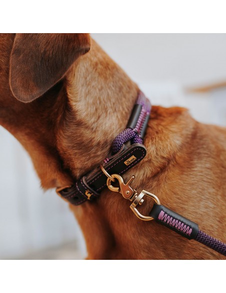 Training leash, HUNTER, Malia, blackberry/dark brown