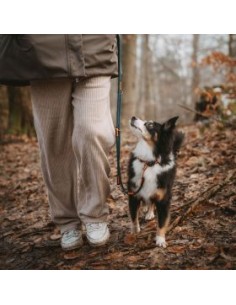 Training leash, HUNTER, Malia, dark blue/dark brown 2