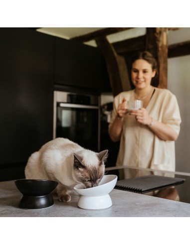 Ceramic cat bowls, StyleCats, Langa, Ø 14 cm,...