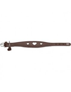 Greyhound collar, HUNTER, Love, brown/black 2
