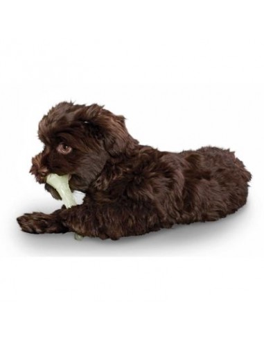 Dog toy, HUNTER, Aqua Kisa bone, white, 10cm