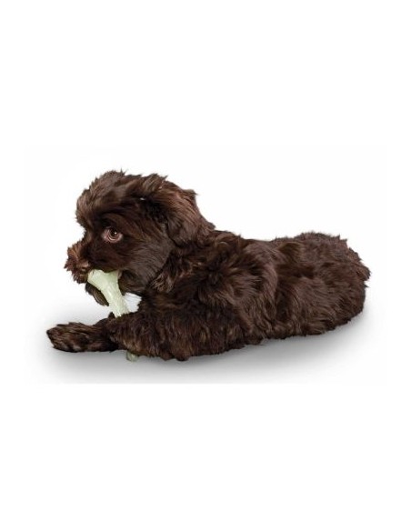 Dog toy, HUNTER, Aqua Kisa bone, white, 10cm