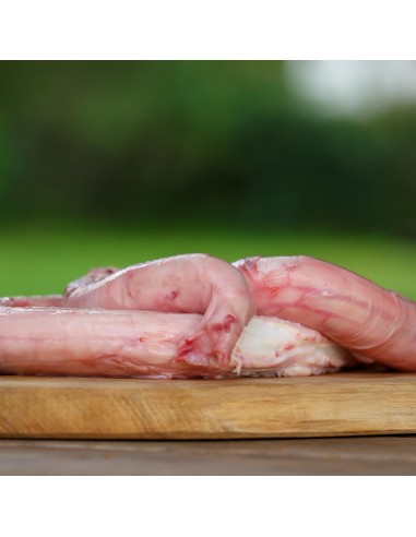 BIAMEAT - fresh food ingredient, BEEF PENIS, 500gr
