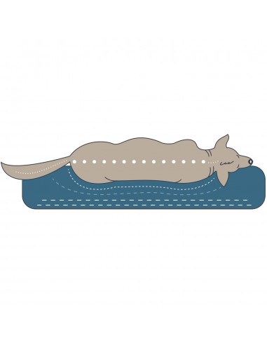 Orthopedic dog bed, HUNTER, Melun, 80x60cm