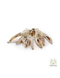 Dog treats, rabbit ears with fur, premium quality, 100 gr.