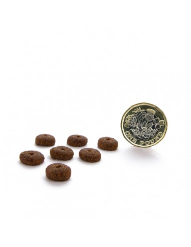 copy of Dry food for dogs and puppies CANAGAN -...