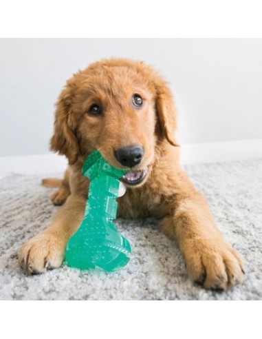 Dog toy KONG® Squeezz, Dental Stick, 20 cm, green.