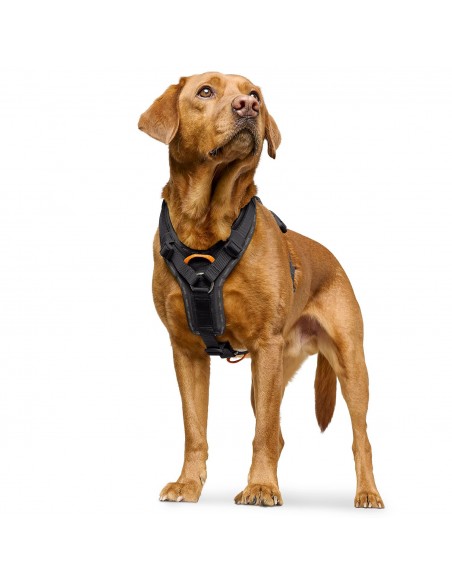 Dog harness HUNTER ErgoMove Pro™ , black, S