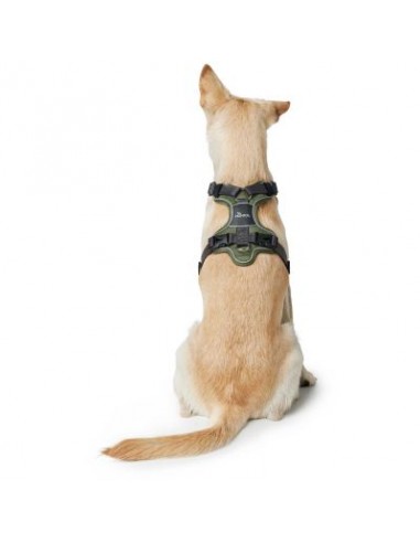 Dog harness HUNTER Divo, green/gray, S