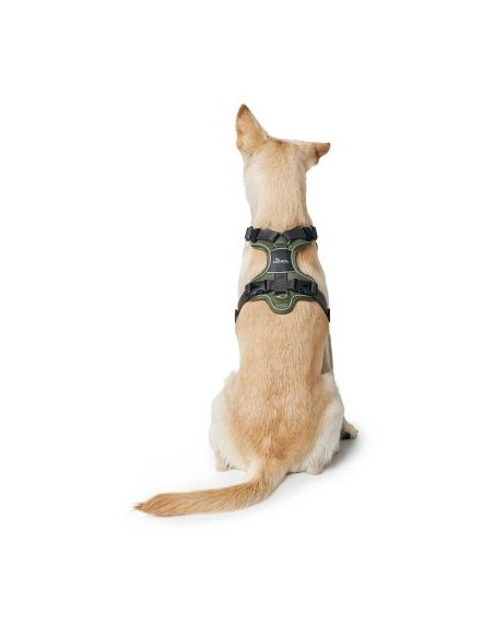 Dog harness HUNTER Divo, green/gray, S