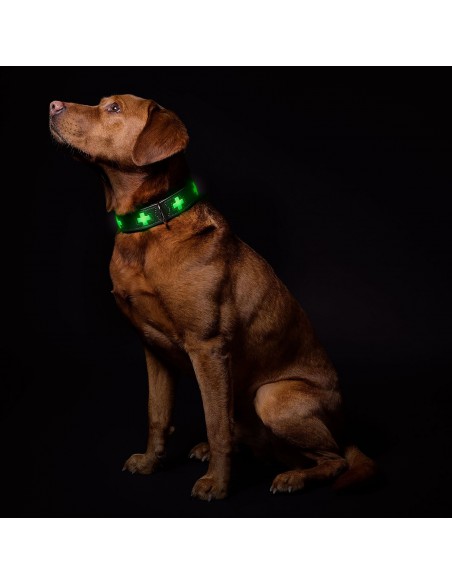 Glow in the dark dog collar, HUNTER, Swiss Glow, stone grey