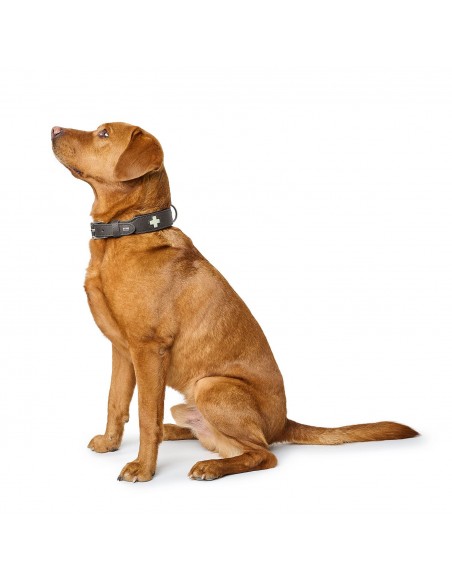 Glow in the dark dog collar, HUNTER, Swiss Glow, stone grey