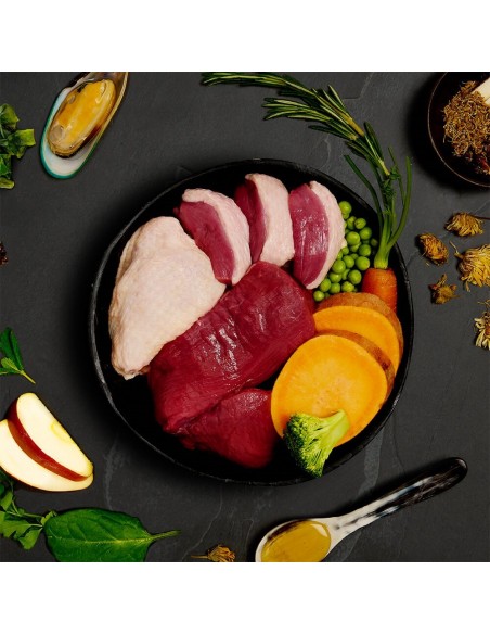 Canned food for dogs CANAGAN - COUNTRY GAME, duck and deer, 400gr